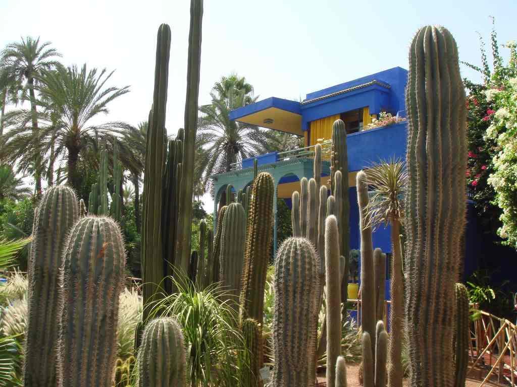 Appart Avec Vue Jardin/Majorelle Marakeş Dış mekan fotoğraf
