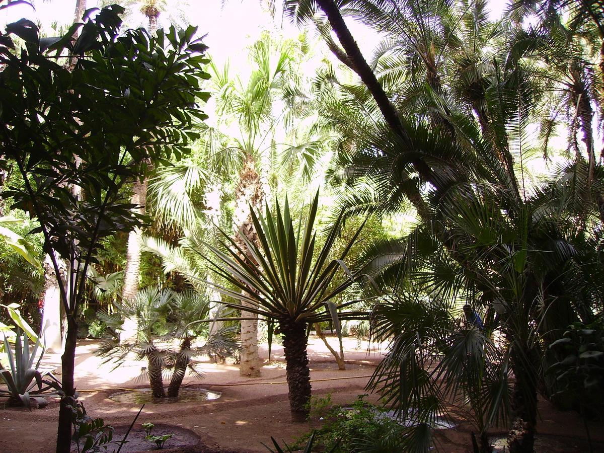 Appart Avec Vue Jardin/Majorelle Marakeş Dış mekan fotoğraf